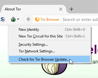 access the dark web reddit